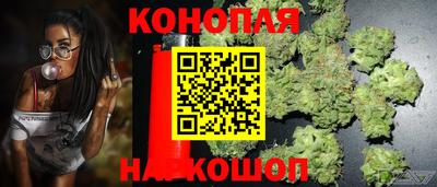 эйфоретик Гусиноозёрск