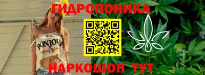 Альфа ПВП Гусев