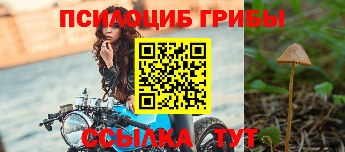 Псилоцибиновые грибы мицелий  Галлюциногенные грибы Magic Shrooms  где найти наркотики  Вход с VPN  Бирск 